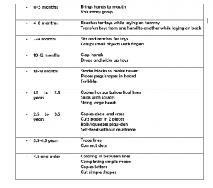 Fine Motor Coordination - The Therapy Spot